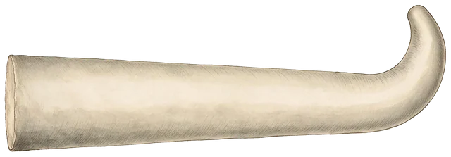 Plate: Blue Whale, 2.25 m