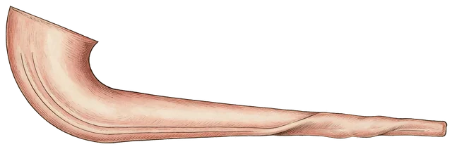 Plate: Ostrich, 30.1 cm